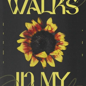 poster design she walks in my dreams